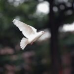 ماضی کو بھول جائیں ،اب پاکستان محفوظ ہاتھوں میں ہے