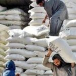 پنجاب سے گندم اور آٹے کی بین الصوبائی ترسیل میں رکاوٹیں، کے پی میں آٹا مہنگا
